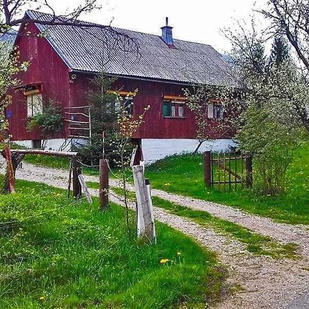 Draga Koncar Guest House Vrelo Koreničko Exteriör bild