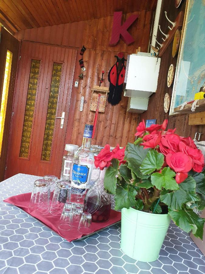 Draga Koncar Guest House Vrelo Koreničko Exteriör bild