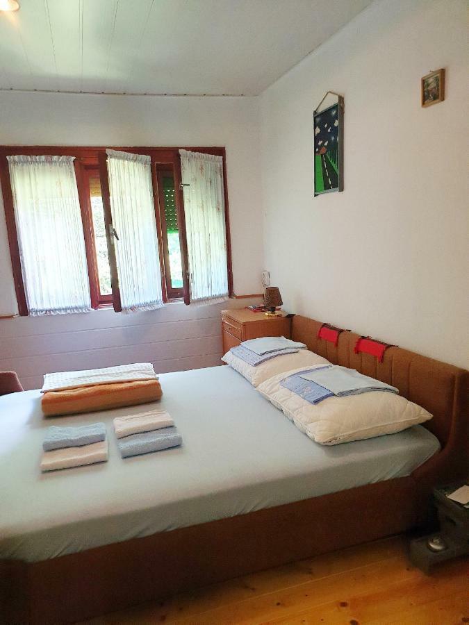 Draga Koncar Guest House Vrelo Koreničko Exteriör bild