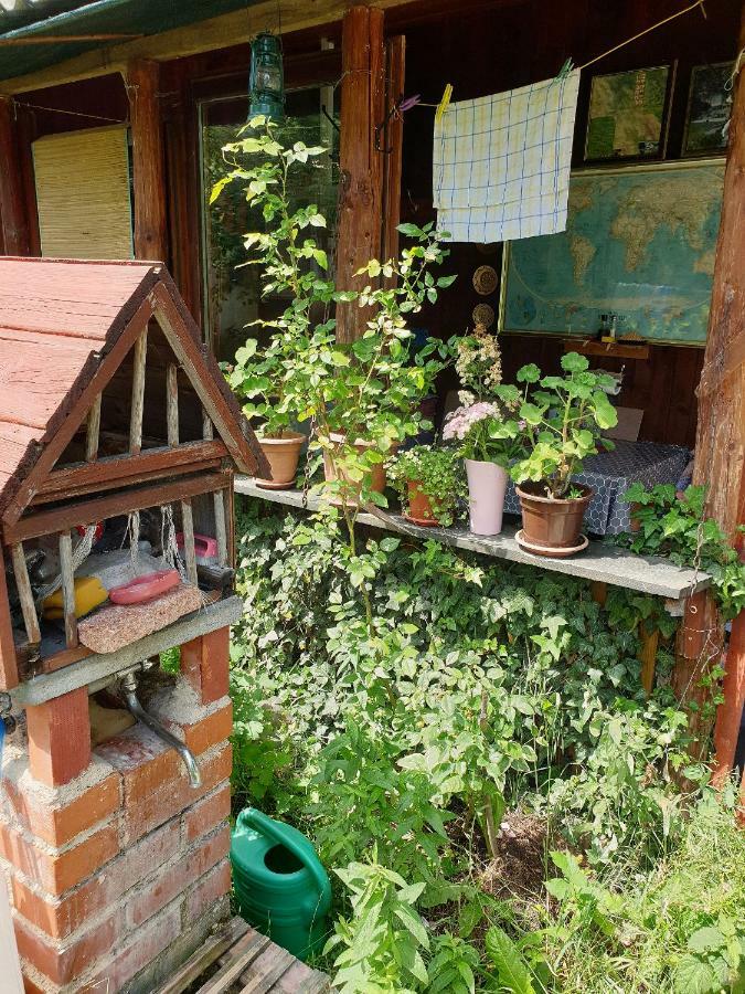 Draga Koncar Guest House Vrelo Koreničko Exteriör bild
