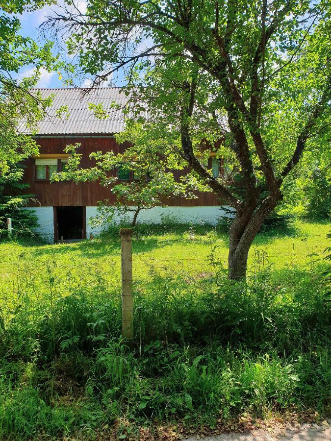 Draga Koncar Guest House Vrelo Koreničko Exteriör bild
