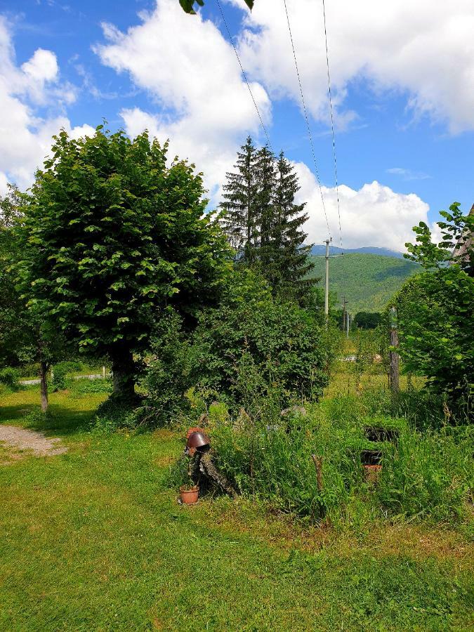 Draga Koncar Guest House Vrelo Koreničko Exteriör bild