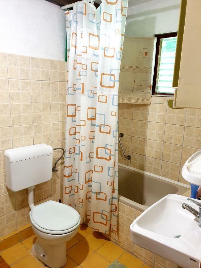 Draga Koncar Guest House Vrelo Koreničko Exteriör bild