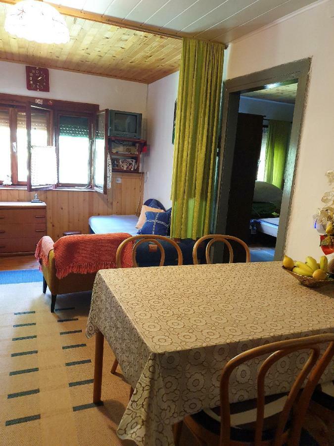 Draga Koncar Guest House Vrelo Koreničko Exteriör bild